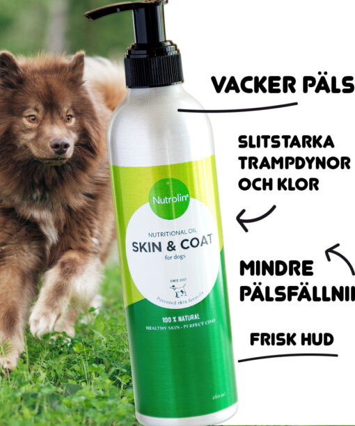 Nutrolin® SKIN & COAT minskar hundens pälsfällning och ger frisk hud och slitstarka trampdynor.