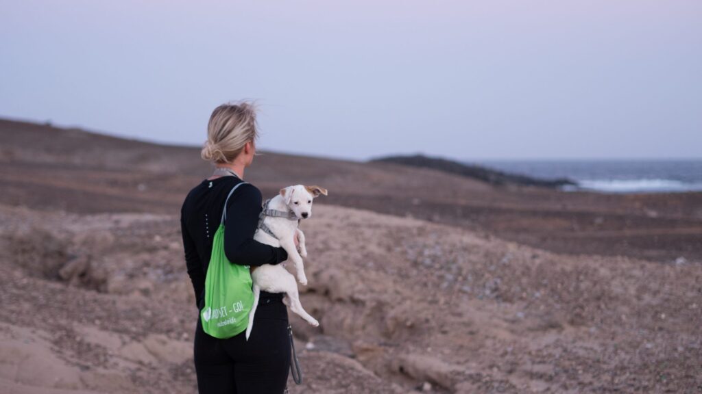 Med hund på Kanarieöarna - klimatförändringen orsakade hudproblem