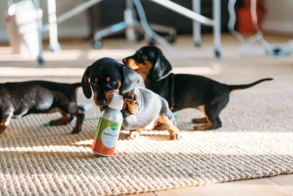 Nutrolin® PUPPY & MOM