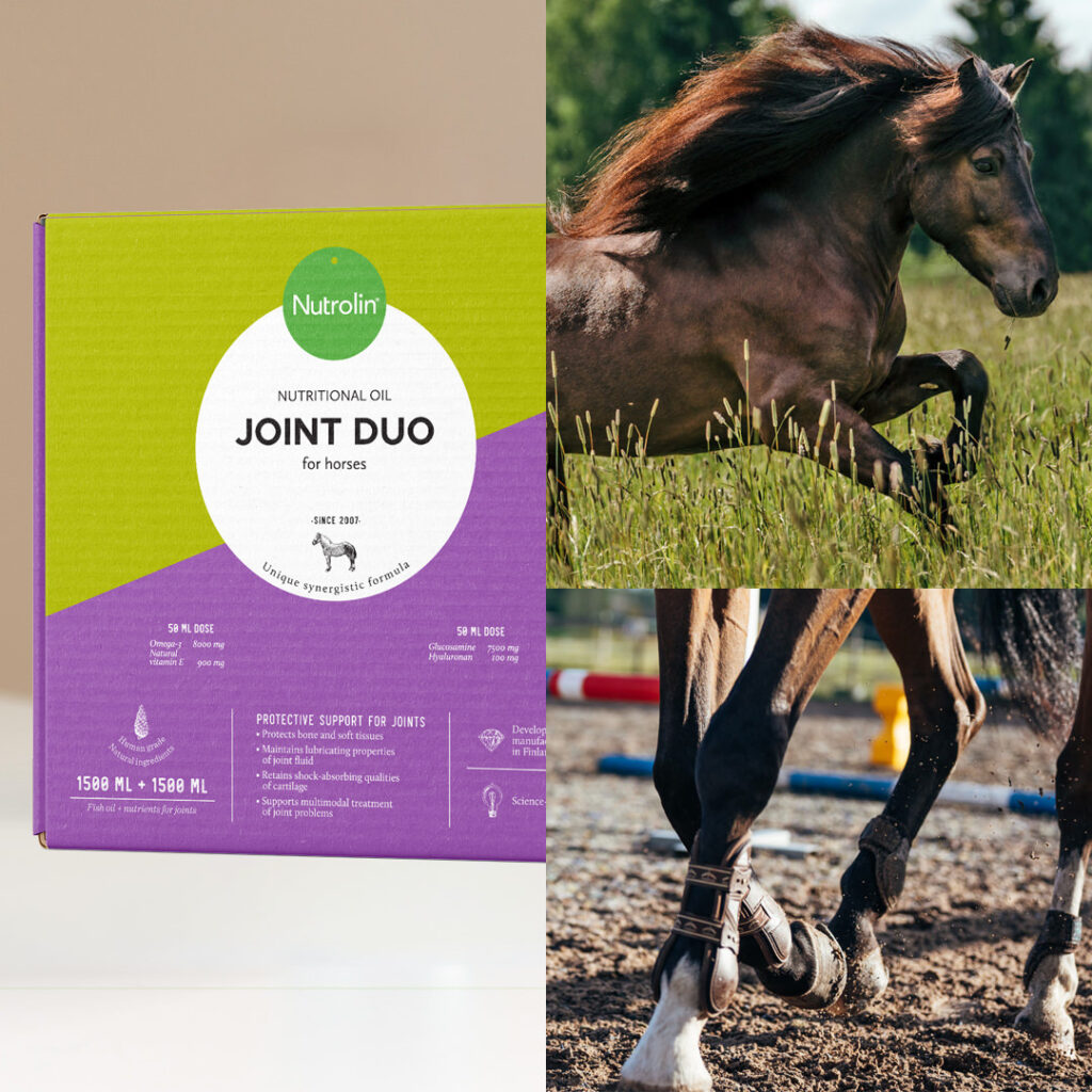 Nutrolin® HORSE Joint Duo