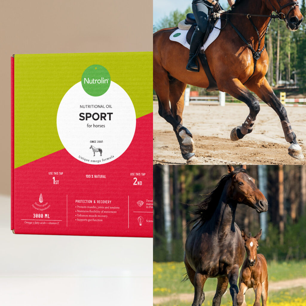 Nutrolin® HORSE Sport