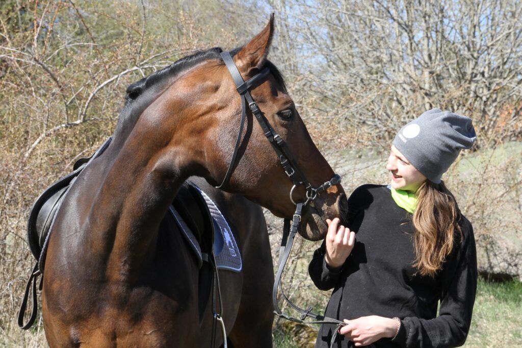 Ridskolehästen Gun provar Nutrolin Horse Joint Duo