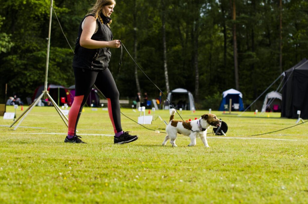 Tävlingsdispens för att tävla med en allergisk hund