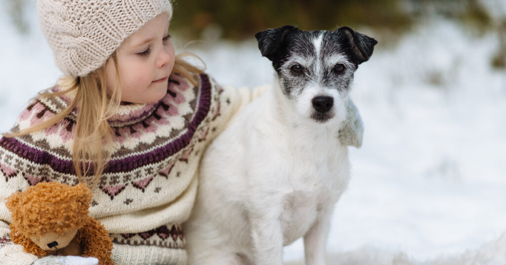 Laxolja eller andra fiskoljor är inte effektiva mot hundens vintertorra hud