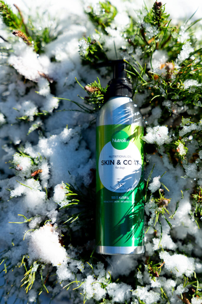 Nutrolin® SKIN & COAT-flaska ligger ute bland snö och växtlighet.