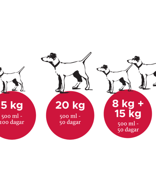 Nutrolin® CAT SENIOR