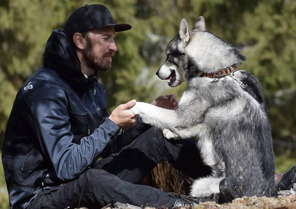 Hunden Bogdan har grav artros i båda armbågarna