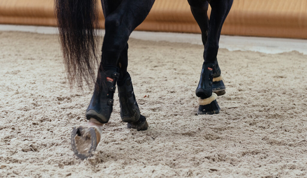 Nutrolin® HORSE Sport ger Hertta bättre återhämtning efter prestation