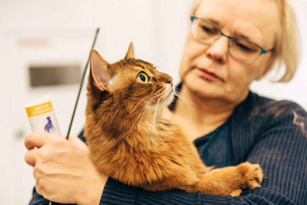 Kattens päls blir välmående med rätt fettsyror