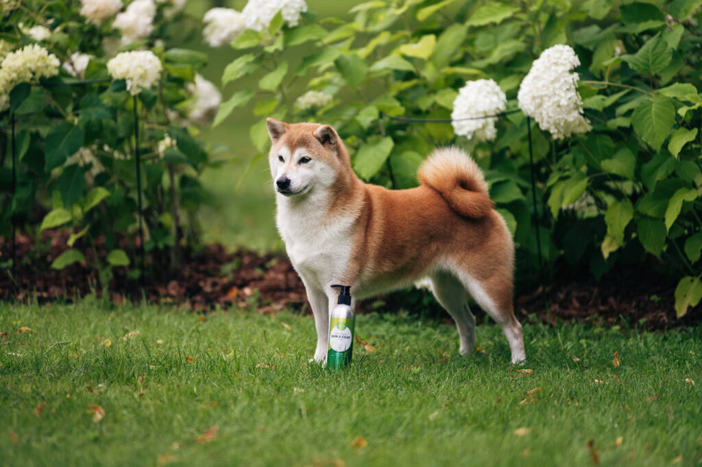 Nutrolin® SKIN & COAT ger utställningshunden vacker päls och välmående hud.