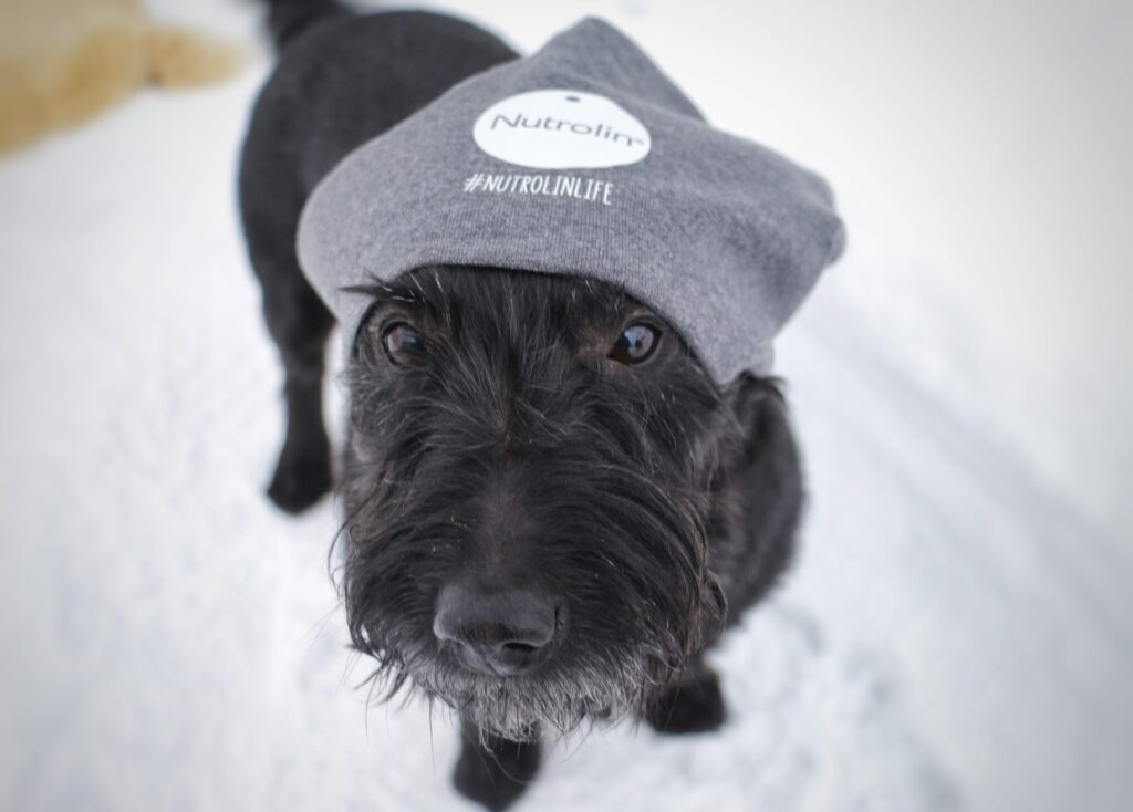 Hunden Kiba har levt med klosjukdomen SLO i två år