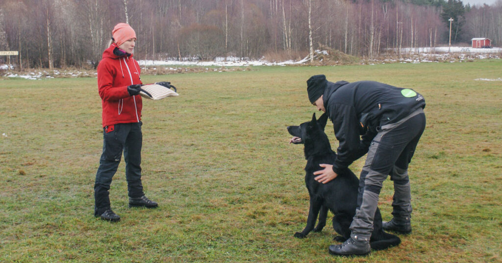 Från valp till väktarhund del 1