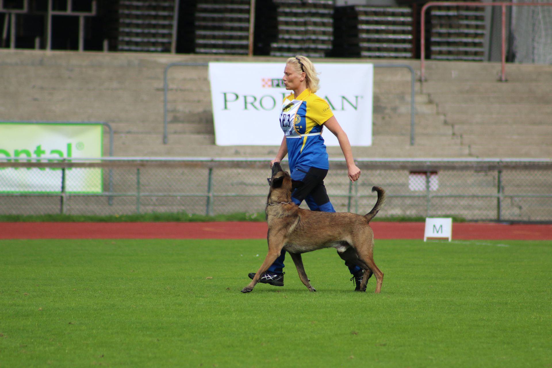 Kennel Mallekraft