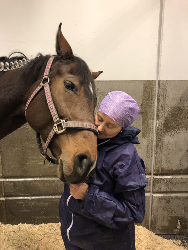 Mardrömmen på Skånsta Ryttare: hästar med viruset EHV1