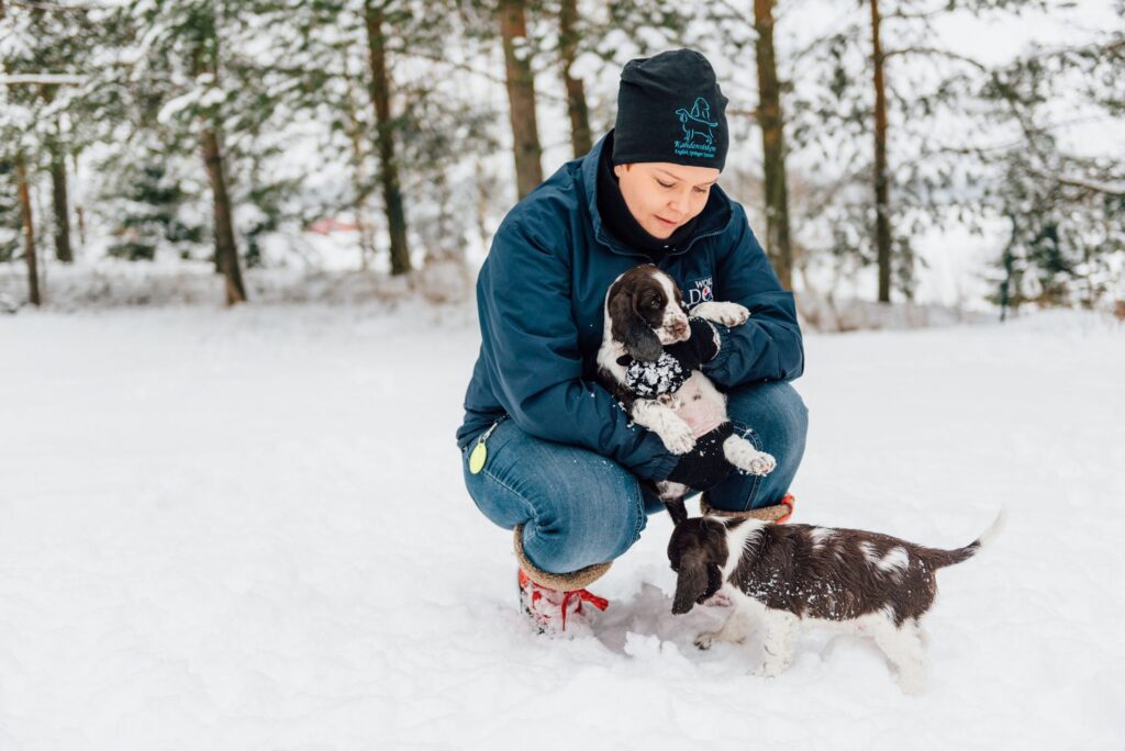 Kennel Kahdensiskon