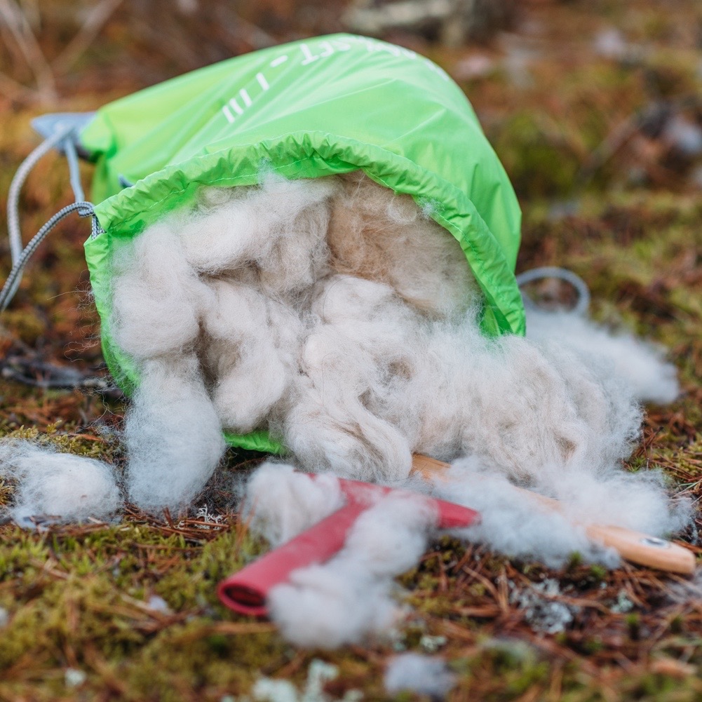 Nutrolin Skin & Coat® minskar hundens hårfällning