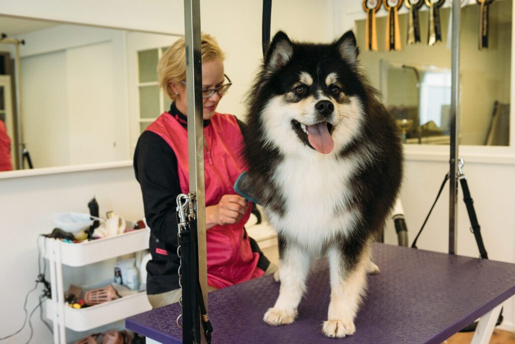 Hundfrisörer och trimmare väljer Nutrolin®-produkterna