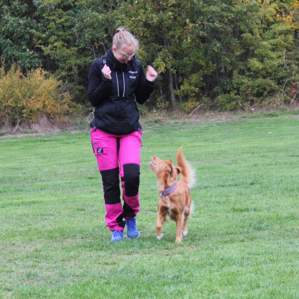 Starka trampdynor med Nutrolin® SKIN & COAT för allsidig träning