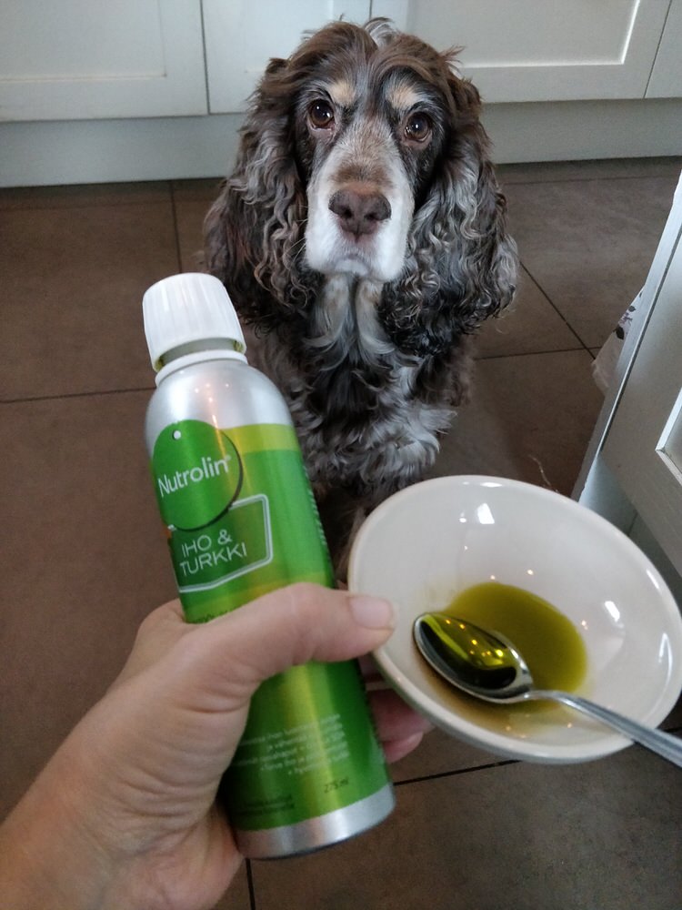 Hunden Elsa fick hjälp mot sin otroligt torra nos