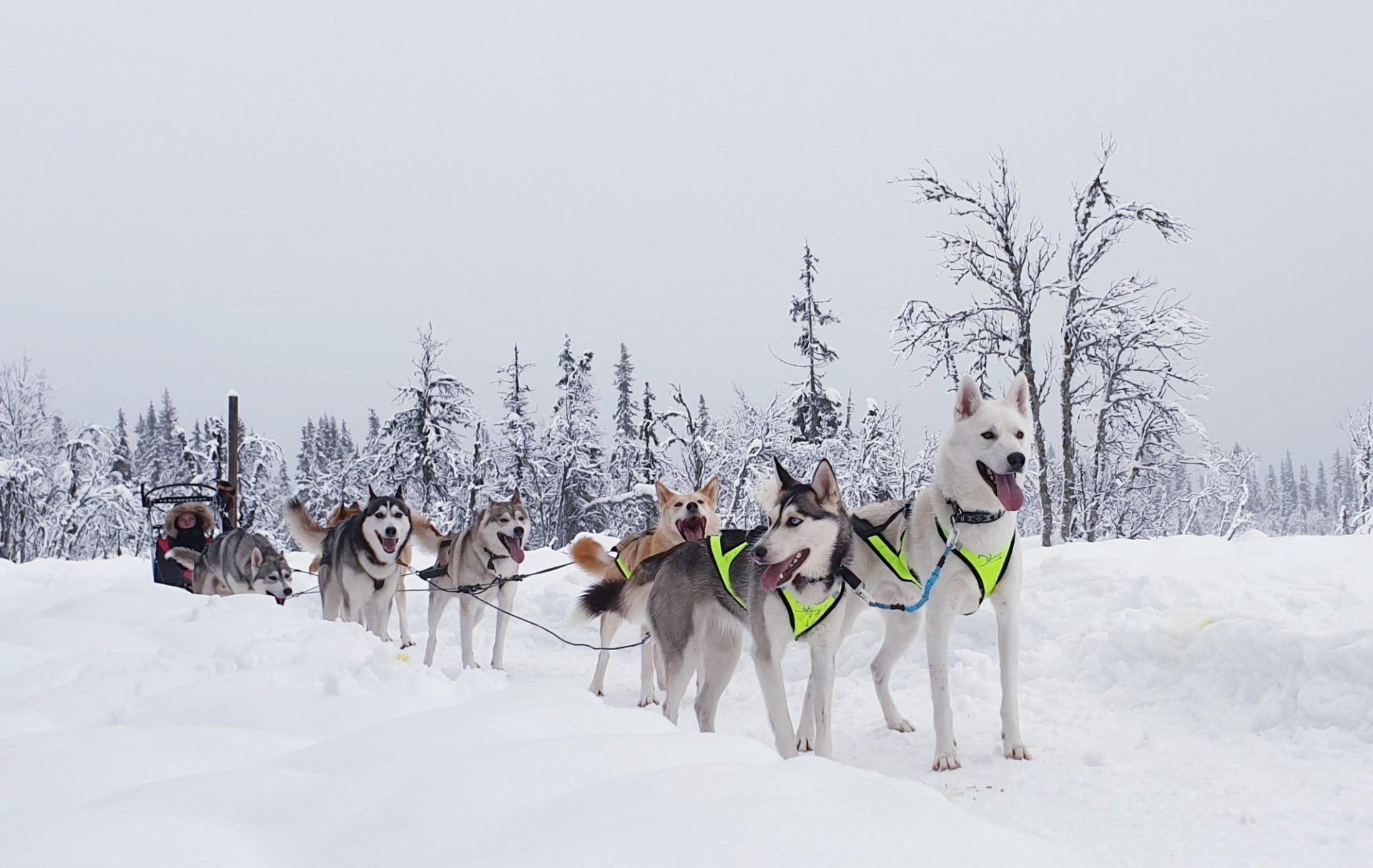 Team Rådasjön