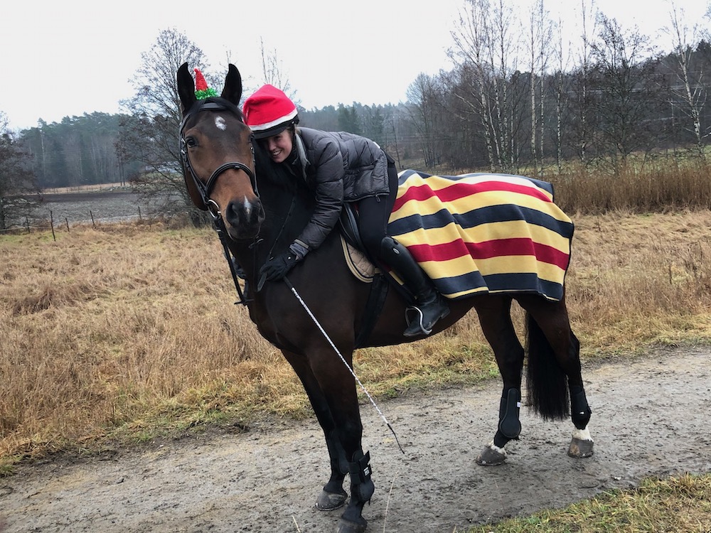 Efter flera motgångar under 2019 blickar Skånsta Ryttare framåt