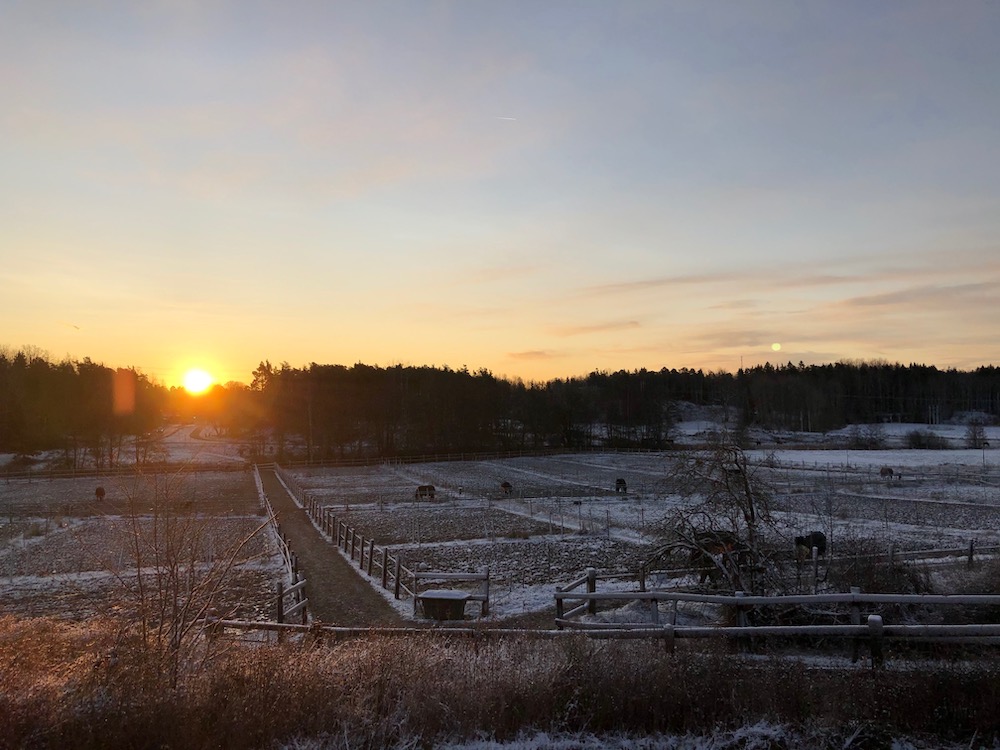 Efter flera motgångar under 2019 blickar Skånsta Ryttare framåt