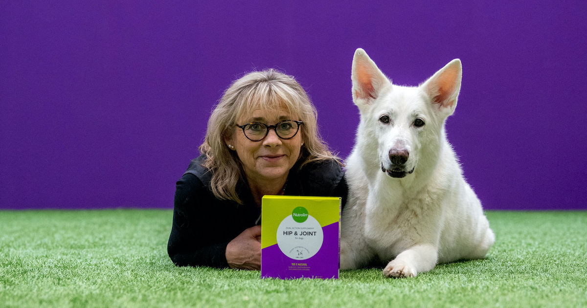 Hunden Zulis artros satte inte stopp för ett aktivt liv