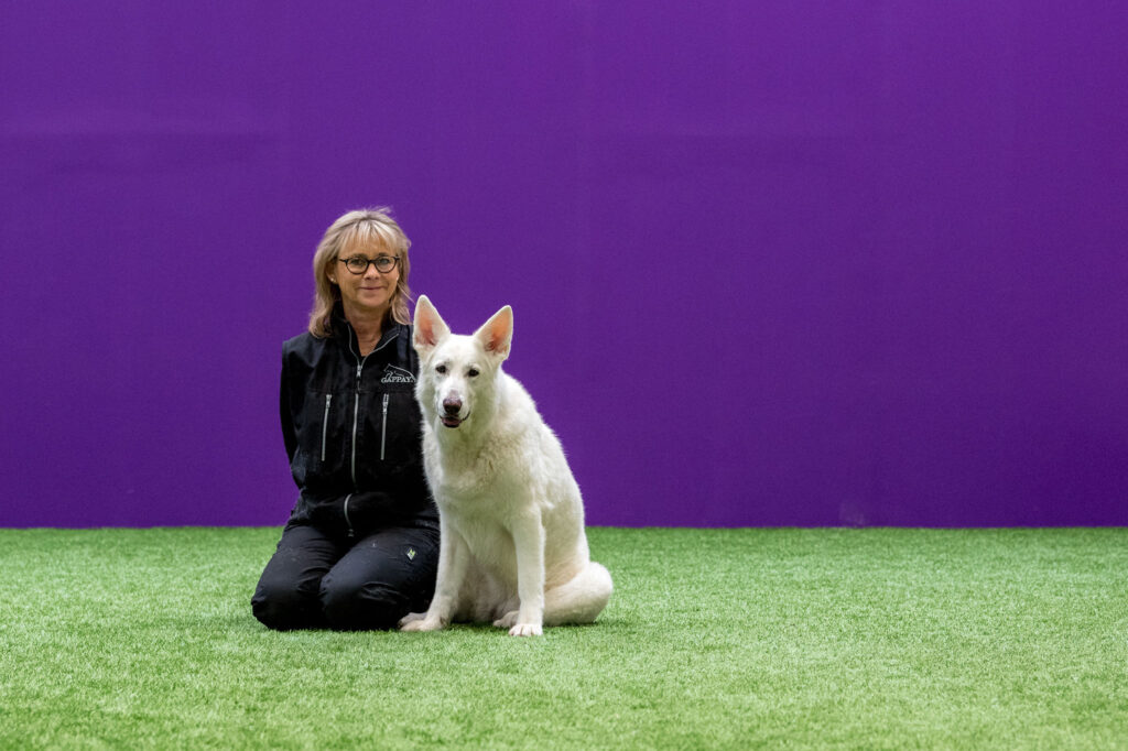 Hunden Zulis artros satte inte stopp för ett aktivt liv