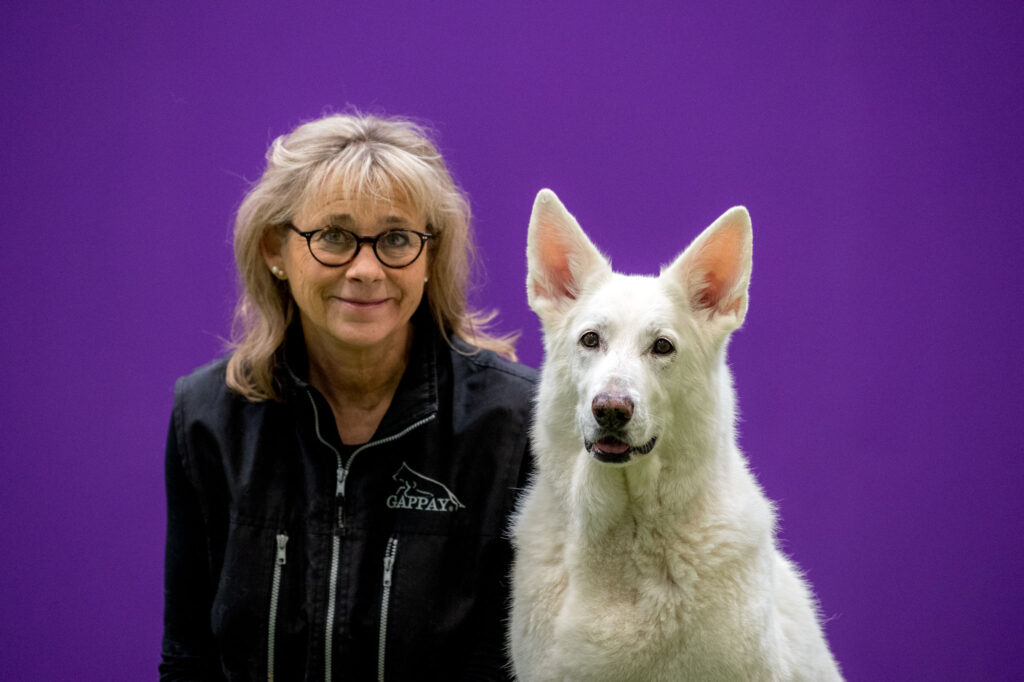 Hunden Zulis artros satte inte stopp för ett aktivt liv