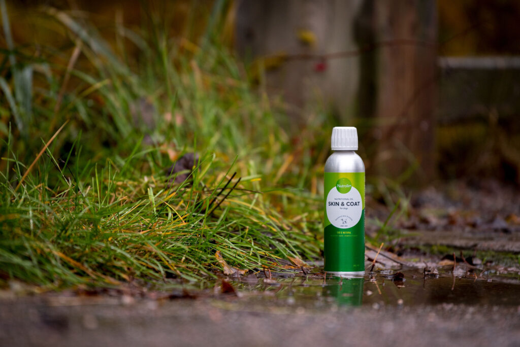 Förbered hundens hud och päls inför hösten med Nutrolin Skin & Coat