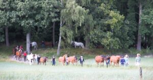 Hästarna på Skånsta Ryttare har återvänt från sitt sommarlov