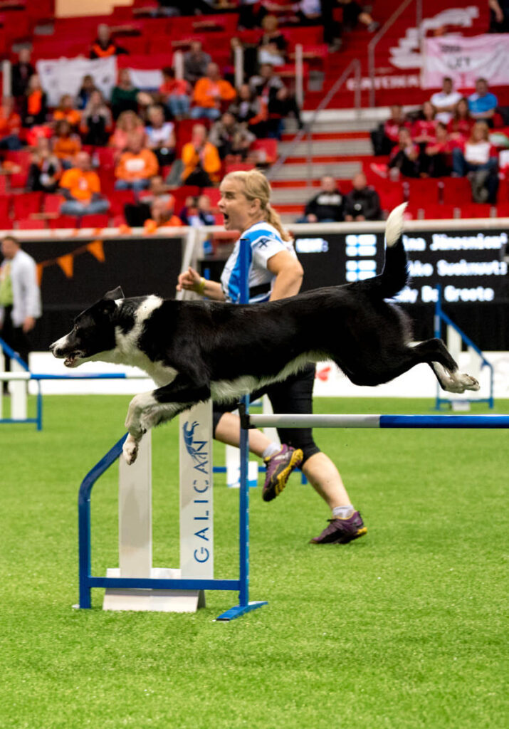 Nutrolin Sport är agilityhundens val