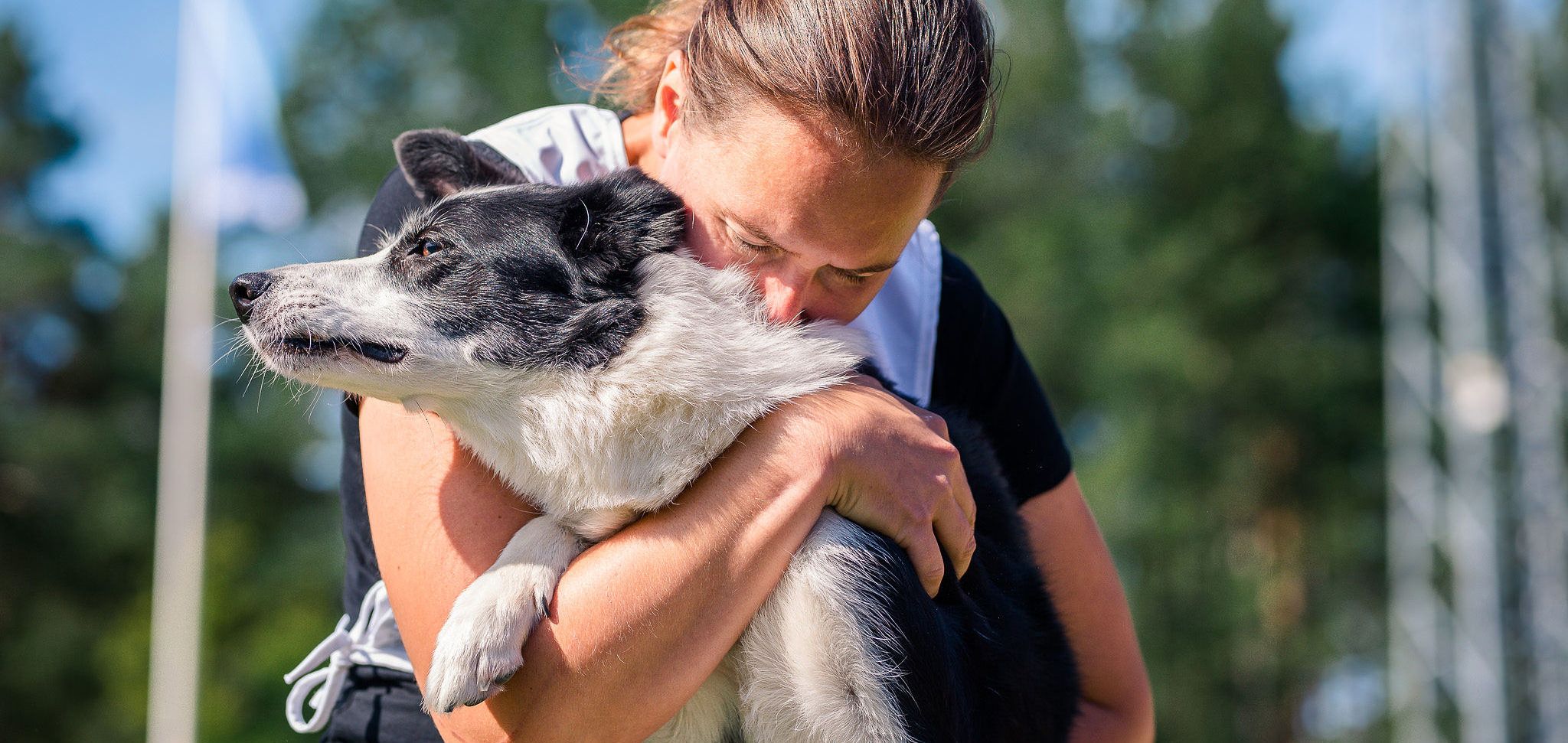 Agilityhunden drar nytta av Nutrolin Sport