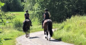 Nya vindar för hästen Gun och hennes familj