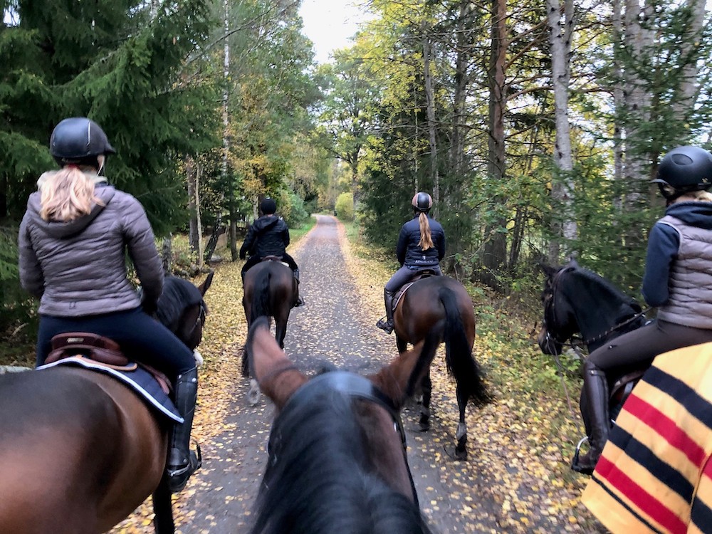 Hästen Gun stortrivs på sitt nygamla stall