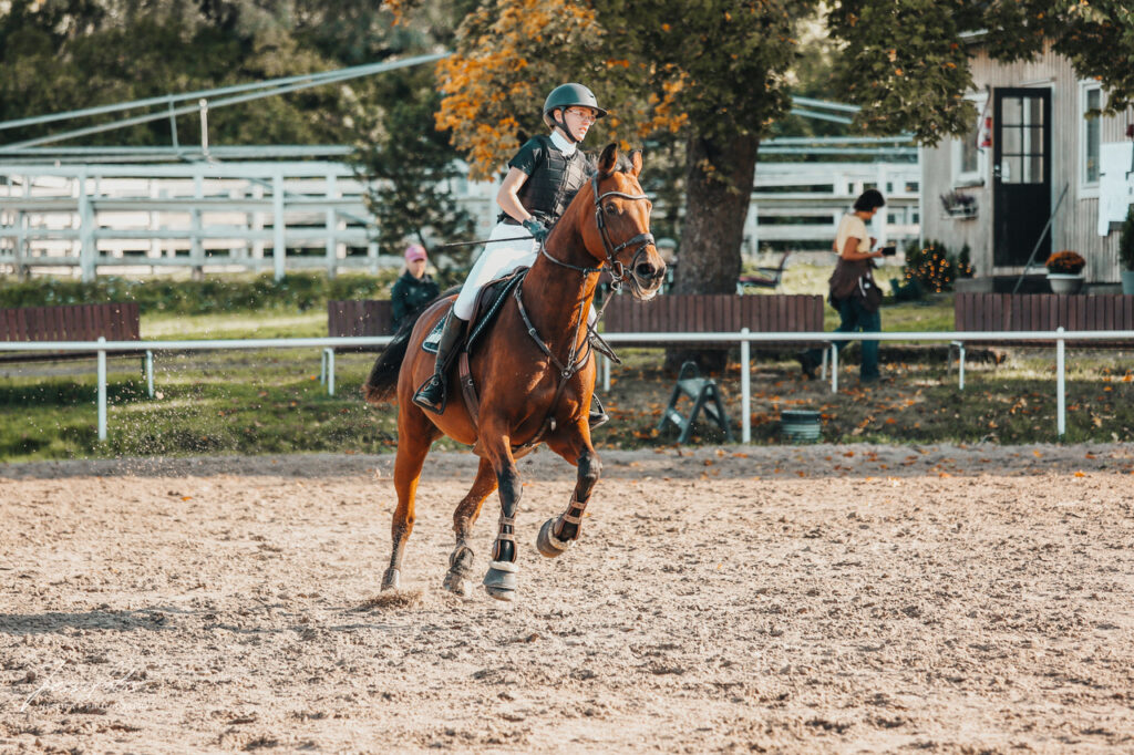 Hopphästen Zara hålls mjuk i kroppen med Nutrolin® HORSE Sport