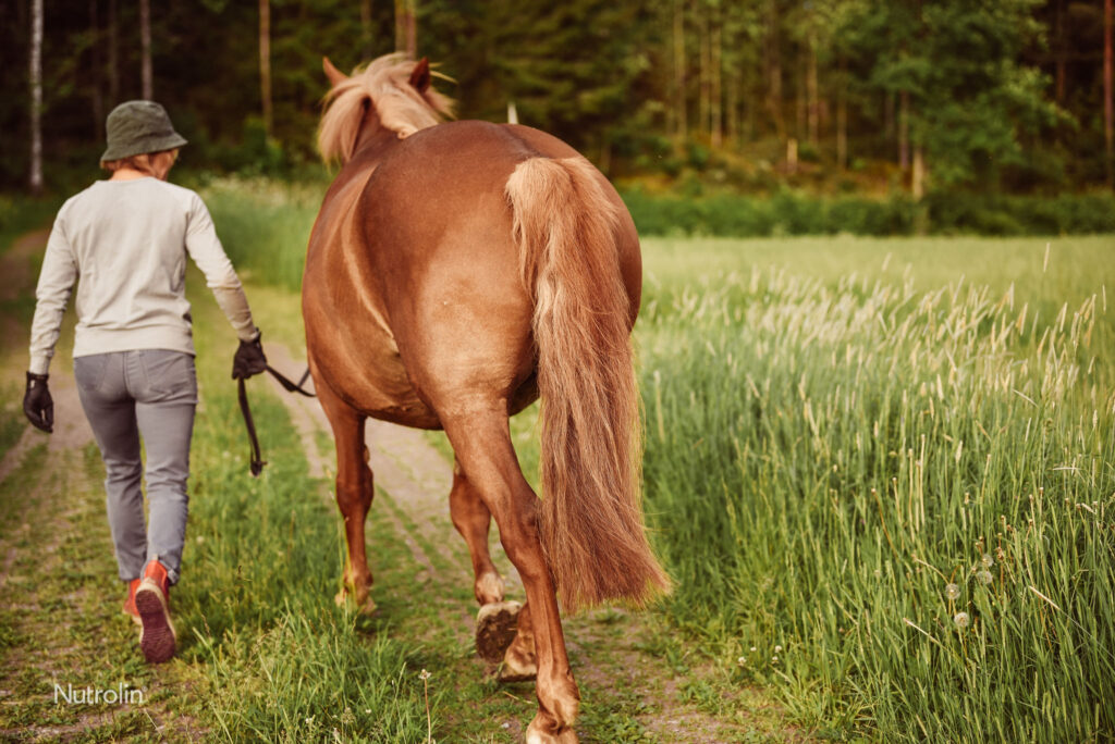 Nu mer E-vitamin i Nutrolin® HORSE Skin & Coat-näringsoljan