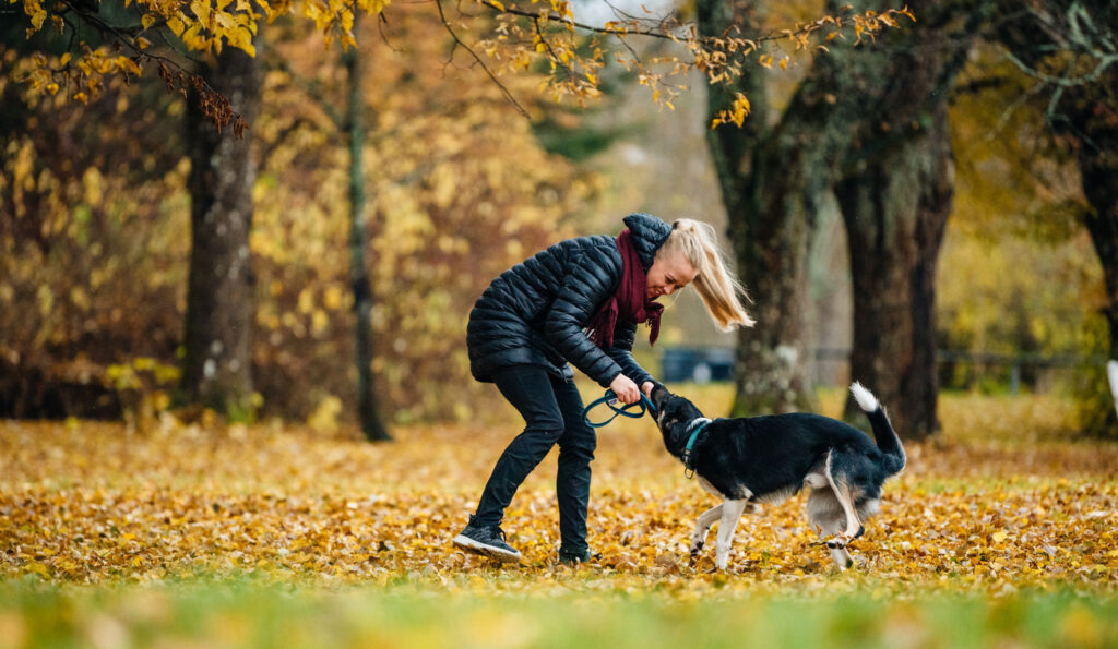 Förbered hunden inför hösten: huden, pälsen, klorna och trampdynorna