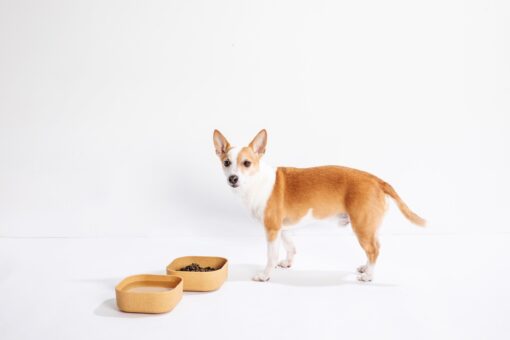 Venandi Design Pet Bowl
