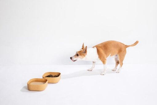 Venandi Design Pet Bowl