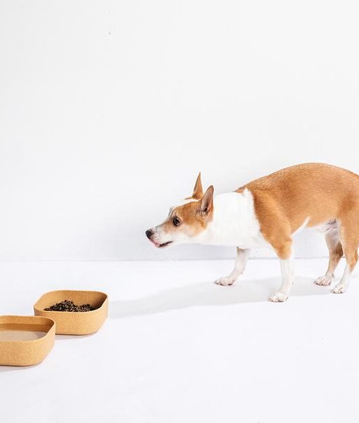 Miljösmarta Venandi Design Pet Bowl mat- och vattenskålar