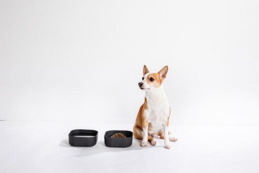 Venandi Design Pet Bowl