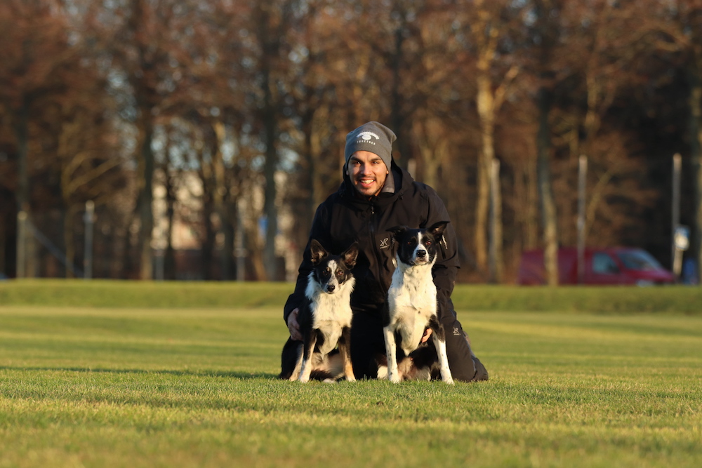 Gustaf Elgh & Pixi ska tävla agility på Crufts