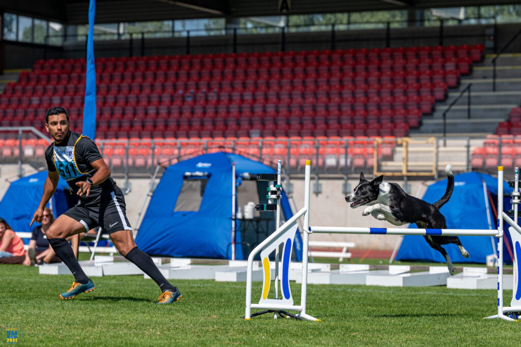 Gustaf Elgh & Pixi ska tävla agility på Crufts