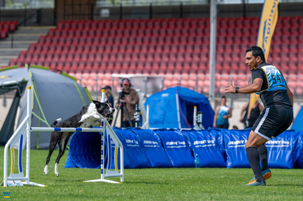 Gustaf Elgh & Pixi ska tävla agility på Crufts