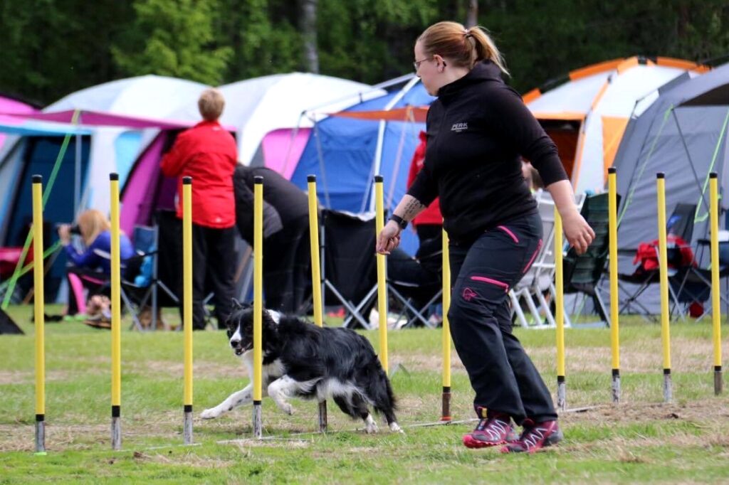 Lyra och Evelina kör agility