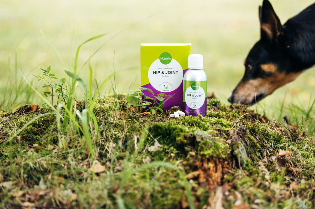 Nutrolin® HIP & JOINT och bordercollie