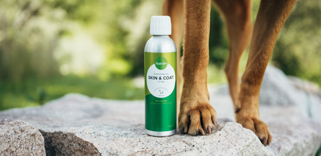 Nutrolin® SKIN & COAT för hundens välmående tassar.