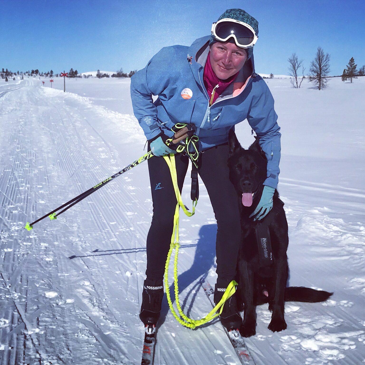 Powered by Nutrolin: Li Hedenström
