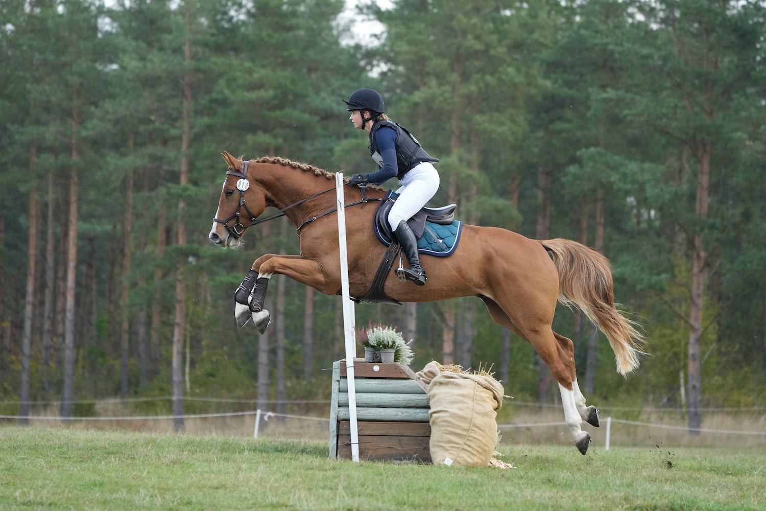 Yohanna Andersson & Checkmate